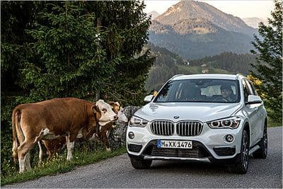 BMW X1 Gebrauchtwagen image